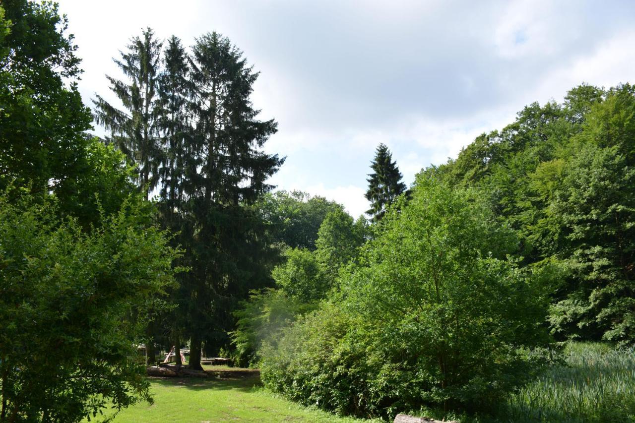 Bungalows Am Waldessaum Bei Hohenzieritz 외부 사진