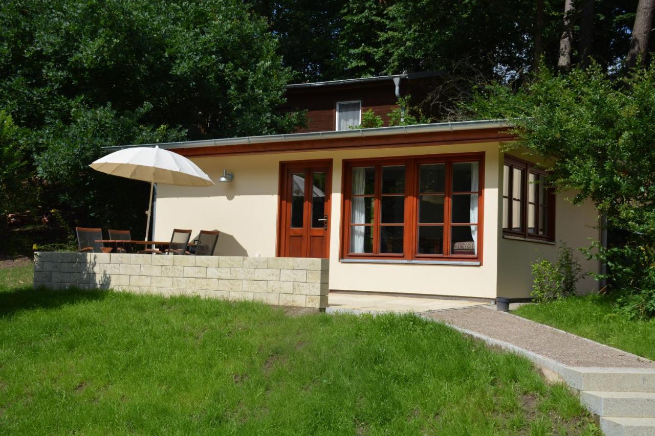 Bungalows Am Waldessaum Bei Hohenzieritz 외부 사진