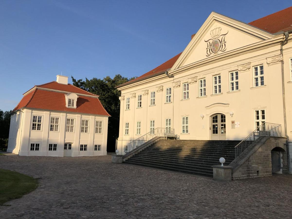 Bungalows Am Waldessaum Bei Hohenzieritz 외부 사진