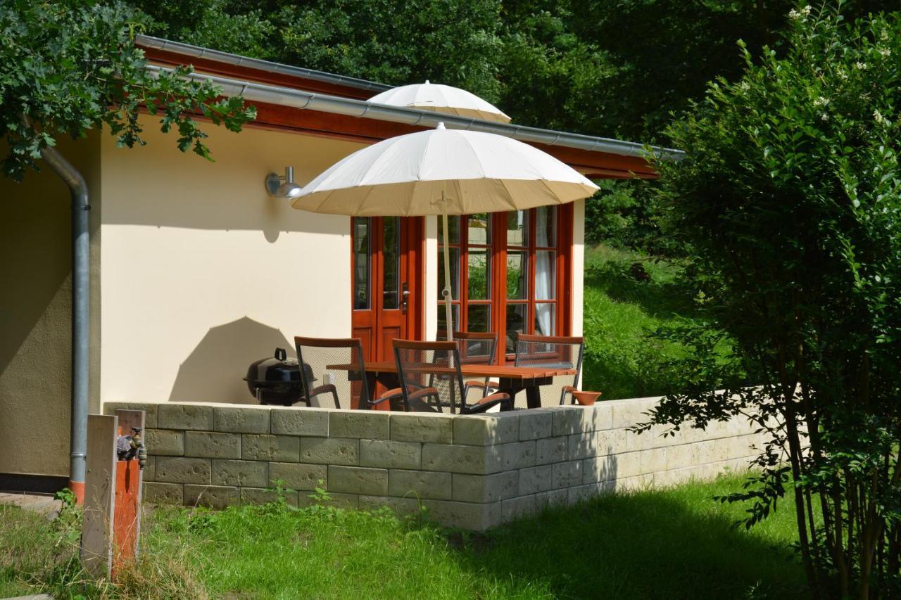 Bungalows Am Waldessaum Bei Hohenzieritz 외부 사진
